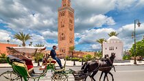 Agadir to Marrakech Day Tour