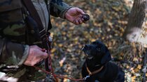 Truffle Hunt with Foie Gras & Wine Tasting near Budapest
