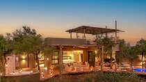 4 Day Lush Private Game Lodge Safari from Johannesburg