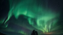 Cozy Northern Lights Tour with Icelandic Treats