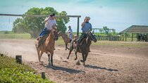 Fiesta Gaucha and Day Ranch in Santa Susana Ranch
