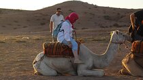 Quad Bike and Camel Ride with Dinner Show
