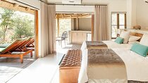 3 Day Tambuti Game Lodge Safari from Johannesburg