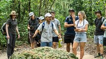 Half Day Private Tour to Cu Chi Tunnels