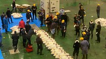 Tokyo: Tuna Auction at Toyosu & Tsukiji Food Walking Tour