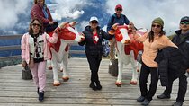 Zurich Day Trip Jungfrau Region with Scenic Train and Hidden Gems