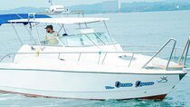 Private Whale Watching Tour by Luxury Speedboat from Mirissa