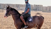 Horse Riding 2 Hours Desert Adventure with Transfer :Marsa Alam