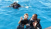 Two Scuba Diving for Beginner with Lunch and Transfer in Hurghada