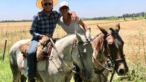Horseback Riding Tour and Polo in Argentine Countryside