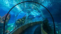 Discover Barcelona Aquarium and Culture