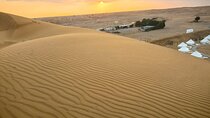 Private Morning Safari Explore Dubai’s Peaceful Desert Adventure