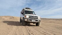 Safari by Jeep & Camel ride With Show & Dinner :Marsa Alam