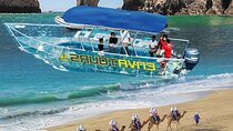 Camel Ride and Arch Tour with Tequila Tasting in Cabo San Lucas