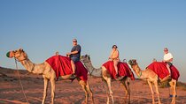 Premium Dubai Red Dune Camel Trekking, Desert Safari and BBQ 