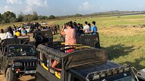 Sri Lanka 4 Day Private Wildlife & Beach Tour – Yala, Ella, Galle