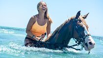 Horse Riding tour in Hurghada: Desert & Sea Tour with Swimming