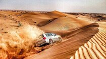 Dubai Red Dune Safari with BBQ Dinner and Camel Ride