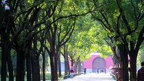 Beijing Full Day Tour All Inclusive