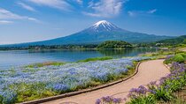 Private Mt Fuji Tour with English Speaking Driver