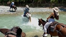 Authentic Colombian Horseback Ride