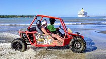 Amber Cove Buggy Tour with Swimming and Tasting