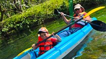 Extreme Adventures: Kayak and canopy in Colon Private tour