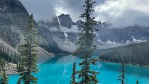 Scenic Hikes, Wildlife, and Lakes in Banff National Park
