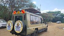 Half day Guided Game Drive Safari in Nairobi Park by 4x4 Jeep