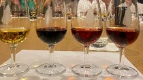 Private Port and Douro Wine Tasting and Pairing with a Sommelière