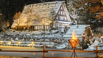  Shirakawago Stay!Hida Light Up, Snow Play 2Days Tour from Nagoya