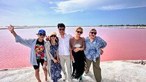 Guided Tour Of Las Coloradas, Rio Lagartos And See Crocodiles
