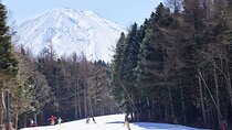 Mt. Fuji View with Fujiten Snow Fun & Oishi Park Tour from Tokyo