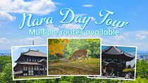 From Osaka, Nara Private Customizable Day Tour