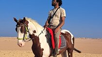 Horse Riding Adventure 1 Hour In the Stunning Desert :Marsa Alam