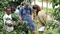Coffee Experience and Kingdom History Tour in Rwanda