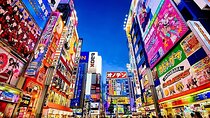  Tokyo Private Tour with English Speaking Driver Customizable