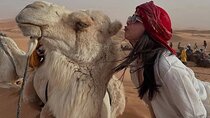 3 Day Merzouga Desert Tour from Marrakech