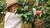Coffee Tour Near Pereira Grisales Coffee Tour