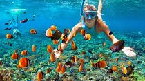 Cancun Speedboat and Snorkeling Adventure with Hotel Pickup
