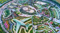 Dubai Miracle Garden Admission Ticket with options