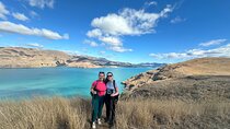 Half Day Guided Walking Tour on Banks Peninsula
