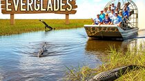 Miami: Everglades Airboat and Wildlife Experience