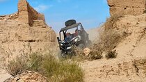 2-Hour Buggy Adventure from Lalla Takerkoust to Agafay Desert