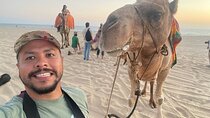 Camel Beach Ride Adventure in Los Cabos with Tequila Tasting