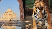 4 Day Golden Triangle with Ranthambore Tiger Safari from Delhi