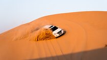 Abu Dhabi Half Day Desert Safari