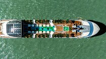 Dolphin Modern Luxury Cruise: Perfect Day on Majestic Ha Long Bay