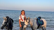 2 Hours Horse Riding along Hurghada's Beach and Desert.