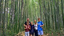 Kyoto: Arashiyama Bamboo, Temple, Matcha, Monkeys & secret spots